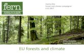 Hanna Aho Forest and climate campaigner 4.12 · 2017. 12. 7. · EU Forest Strategy-01.12.2017-Hanna Aho-Presentation Keywords: EU Forest Strategy-Hanna Aho-Presentation Created Date: