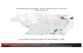 Tackling Gangs and Serious Youth Violence · 2019. 12. 11. · By 2006/07 four named gangs were present in Edmonton and gang-linked violence escalated. In 2008, cross-borough youth