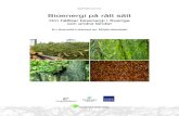 Bioenergi på rätt sätt - Sveriges miljömålBioenergi kan avsevärt bidra till att begränsa klimatförändringarna. Det är viktigt att biobränslen produceras och används på