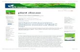 First Report of 16Sr II (‘Candidatus Phytoplasma ...identical to the reference pattern of 16Sr group II, subgroup D (Y10097). Several phytoplasma have been reported on alfalfa worldwide