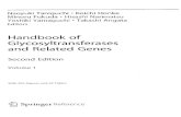 Handbook of Glycosyltransferases ; Vol. 1Kiyoshi Furukawa, HenrikClausen, andTakeshi Sato 7 UDP-Gal:BetaGlcNAcBeta 1,3-Galactosyltransferase, Polypeptide 1,2 (B3GALT1,2 ... 355 ShigeruTsuboiandMinoru