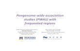 Pangenome-wide association studies (PWAS) with frequented … · 2020. 12. 31. · T. Bellerand E. Ohlebusch. 2016. A representation of a compressed de Bruijngraph for pan-genome