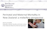 Fetal Assessment and Wellbeing · 2015. 9. 2. · Fetal Assessment and Wellbeing Perinatal and Maternal Mortality in . New Zealand: a midwifery perspective . Norma Campbell, Midwifery