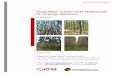 Australian Timber Pole Resources for Energy Networksera.deedi.qld.gov.au/3071/2/dpiandena_timber_pole_review...4. Australian timber pole resources for energy n etworks - Review s ummary