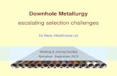 escalating selection challenges...As proposed by Pots et al: NACE Corrosion 2002 paper 235 (#02235) pCO 2 /pH 2 S = 20 pCO 2 /p H 2 S = 500 pH 2 S carbon & low-alloy steels pCO 22