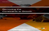 Removing the Constraints to Growth - Appleby...Xuber Executive Bermuda Roundtable Removing the Constraints to Growth 3 1940’s Emergence 1970’s Legislation 1992 Hurricane Andrew
