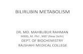 Bilirubin metabolism - Rajshahi Medical Bilirubin metabolism Degradation of heme: Specially in liver & spleen. Normally 5% bilirubin is conjugated 95% is unconjugated . Pathophysiology