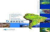 Panorama do Enquadramento · 2007. 7. 2. · P195p Panorama do enquadramento dos corpos d’água do Brasil, e, Panorama da qualidade das águas subterrâneas no Brasil. / coordenação
