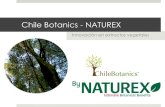 Chile Botanics - NATUREX · 2019. 12. 19. · NATUREX-CHILE BOTANICS Finales 2013. Chile Botanics S.A se une con NATUREX S.A. Aumento de capital. Construccion de nueva planta con