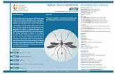 UCAMI INFORMACIÓN GENERAL · 2017. 9. 11. · Paraguay en tanto indica más de 110.000 casos febriles, con 2.000 conﬁrmados para dengue y 30 para Chikungunya, con brotes activos