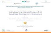 Institutional and Strategic Framework for Sustainable ......Institutional and Strategic Framework for Sustainable Development in Montenegro by Marija Mijuškovid Advisor in the Division