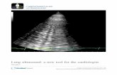 Lung ultrasound: a new tool for the cardiologist · 2017. 8. 25. · Luna Gargani Abstract For many years the lung has been considered off-limits for ultrasound. However, it has been