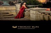 Notice of annual general meeting 2017 - Tsogo Sunfinancials.tsogosun.com/2017/pdf/additional/tsogo-sun...Interest rate swaps The group has interest rate swaps used for hedge accounting