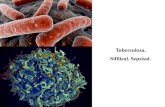 Tuberculoza. Sifilisul. Sepsisul. - USMF · 2020. 11. 25. · Tema: Tuberculoza.Sifilisul. Sepsisul. I. Micropreparate: №79. Tuberculoză miliară pulmonară. (coloraţie H-E).