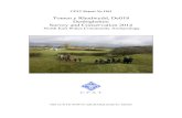 CPAT Report No 1261 · 2018. 12. 12. · CPAT Report No. 1261 Tomen y Rhodwydd, De018, Denbighshire. Survey and Conservation 2014. North East Wales Community Archaeology 1 Client