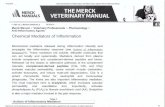 Sleep & TMJ Therapy · 2019. 8. 6. · 12/11/2015 Chemical Mediators of Inflammation: Anti-inflammatory Agents: Merck Veterinary Manual predominant vasoactive amine. Cytokines, including