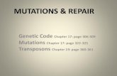 MUTATIONS & REPAIR - Sciencepoint Cafemacsciencecafe.weebly.com/.../05-mutations___repair.pdfMUTATIONS & REPAIR Genetic Code Chapter 17: page 306-309 Mutations Chapter 17: page 322-325
