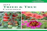 2015 Tried & Truetried-and-true.com/wp-content/uploads/2011/09/2015... · 2014. 12. 13. · Grenadine Tropicana Nasturtium (Tropaeolum) Edible flowers. Long blooming. Compact growth