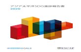 アジア太平洋SDG進捗報告書 2020 - IGES...viii アジア太平洋SDG進捗報告書 2020 3.3 統計が存在し、政策立案に利用されていることを確実にする