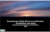 Somatotropic (GH) effects on methionine metabolism and aginggeriatria.salud.gob.mx/descargas/gerociencia/gerociencia... · 2017. 8. 21. · Methionine metabolism is enhanced in GH