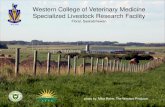 Western College of Veterinary Medicine Specialized Livestock Research Facility · 2019. 7. 23. · Darts (injectable de-wormer) ... Herd dewormer administered by feed or water May