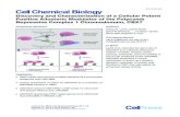 Discovery and Characterization of a Cellular Potent Positive · PDF file Cell Chemical Biology Article Discovery and Characterization of a Cellular Potent Positive Allosteric Modulator
