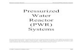 Pressurized Water Reactor (PWR) Systems · 2009. 1. 9. · (PWR) Systems For a nuclear power plant to perf orm the function of generating elect ricity, many different systems must