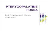 PTERYGOPALATINE FOSSA - Doctor 2018 - Lejan JU...Infra-orbital artery. lPasses forward with the infra-orbital nerve and leaves the pterygopalatine fossa through the inferior orbital
