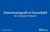 Datortomografi av kranskärl - rjl.se · 2019. 4. 24. · Jan Engvall för RMPG . Utredningsuppdrag RMPO 2 . Utredningens aktiviteter 3 Tre Skype-möten Utväxling av bakgrundsdokument,