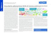 Oncolytic adenovirus VCN-01 turns cold tumors hot...CAF Tumor-associated immune cell ECM VCN-01 Tumor vasculature Stroma VCN’s viruses are administered intravenously, circulate within