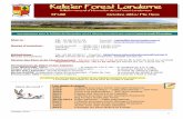 Keleier Forest Landernelaforest.bzh/wp-content/uploads/2014/Keleier/201410... · 2020. 10. 30. · Octobre 2014 1 ss - 1 - ... St Thonan, et la célébration des Défunts se tiendra