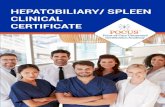 HEPATOBILIARY/ SPLEEN CLINICAL CERTIFICATE · 2019. 6. 12. · The Hepatobiliary/Spleen Clinical Certificate is appropriate for physicians and advanced practice providers (e.g., physician