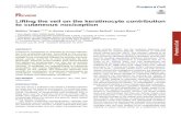 Lifting the veil on the keratinocyte contribution to cutaneous ......R. EVIEW. Lifting the veil on the keratinocyte contribution to cutaneous nociception. Matthieu Talagas1,2,3,4&,Nicolas