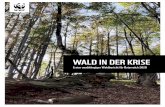 WALD IN DER KRISE - WWF Österreich...der Österreichischen Waldinventur (ÖWI) im Jahr 1961 hat der Wald eine Fläche von 300.000 ha dazugewonnen (BFW 2012). Heute sind rund 82 %