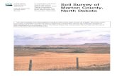 Soil Survey of Morton County, North Dakota...General Soil Map The general soil map, which is a color map, shows the survey area divided into groups of associated soils called general