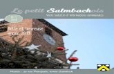 Le petit Salmbachois · 2020. 2. 12. · Votre bulletin d’informations communales N°1 2019 Mairie : 39 rue Principale, 67160 Salmbach ... (Rdv à prendre à la mairie de Wissembourg)