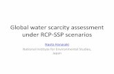Global water scarcity assessment under RCP-SSP scenarios · 2020. 2. 6. · Industrial water dem. FAO, 2011 Domestic water dem . FAO, 2011 Meteorological (0.5 0.5 , 6hourly, 1971-2000)