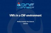VNFs in a CNF environment - Open Networking Foundation€¦ · 3/9/2019  · prototyping, testing and implementing solutions. She has worked with different vendors and thus looked