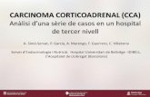 CARCINOMA CORTICOADRENAL (CCA) · 2016. 12. 17. · CARCINOMA CORTICOADRENAL (CCA) Anàlisi d’una sèrie de asos en un hospital de tercer nivell A. Simó-Servat, P. García, A.