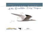 Coastal Birds - BirdLife · at Balgal Beach, Acheron, Mystic Sands, Toomulla, Toolakea, Bushland Beach, Cungulla, Alva Beach, Wunjunga, Kings Beach, the Strand and Rowes Bay. Coastal