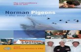 Norman Pigeons - Crescatoria Florin Gatejescu€¦ · 1989 1st rdnat. Argenton young birds 1991 1st nat. Argenton young birds 2004 1st nat. Pau nd- 2 price internat. Pau 2004 Winner