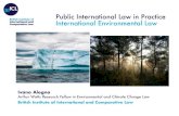 Public International Law in Practice International Environmental Law · 1. Introduction to International Environmental Law The Environment: object of IEL “[T]he environment is not