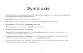 Symbiosis - units.it · 2020. 11. 19. · Symbiosis • Relationships of microorganisms with other microorganisms or with macroorganisms— prolonged and intimate relationships •