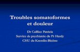Troubles somatoformes et douleur - ANP3SM...Manuel diagnostique et statistique des troubles mentaux (texte révisé, 4 ed.) Masson, Paris Organisation Mondiale de la Santé (1993)