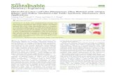Hierarchical Lotus Leaf-Like Mesoporous Silica Material with ...nanolitesystems.org/wp-content/uploads/2017/03/2017-ACS...Hierarchical porous silica material having unique bilayer