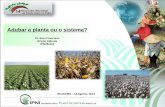 Dr. Eros Francisco Diretor Adjunto IPNI Brasil · 2014. 8. 20. · Volatilização (NH 3) Erosão (NPKCaMgSBCuMnZn) Lixiviação (NKBS) Uso eficiente do fertilizante Práticas conservacionistas