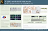 Mutation-Speciﬁ c Antibodies for the Detection of EGFR … · 2017. 5. 16. · immunohistochemistry (IHC). IHC screening of a large panel of parafﬁ n-embedded NSCLC tumor samples