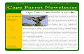 Cape Parrot: no doubt a speciesdargleconservancy.org.za/documents/parrots/2015 11 Parrot... · 2015. 12. 16. · The breeding female from 2014 laid four eggs on 2 September2015. Once