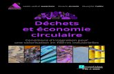 Déchets et économie circulaire · PDF file 2019. 6. 27. · Les polluants et les techniques d’épuration des fumées – Cas des unités de traitement et de valorisation des déchets