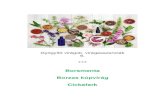 Borsmenta · 2020. 8. 23. · Borsmenta Mentha piperita (lila) Borsmenta virágesszencia Szellemi frissesség A borsmenta ellentétes, egyszerre frissítő és felmelegítő hatásmechanizmusa